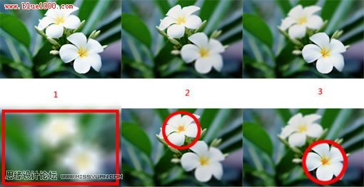 網(wǎng)頁設計中圓形聚焦功用分析