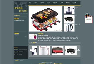 沈陽馳越家電商行網(wǎng)站