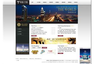 泰德（中國(guó)）控股集團(tuán)